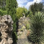 thee tuin Bamboe Monnik