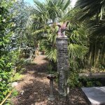 Thee tuin Bamboe Monnik
