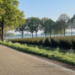 Het Goor